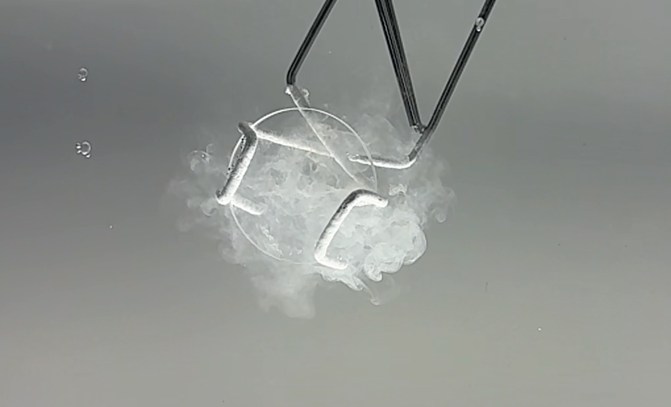 NGL remet ses poudres à l&rsquo;honneur !